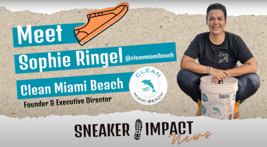 Tidal Waves of Change: Sophie Ringel's Environmental Mission to Clean Miami Beach